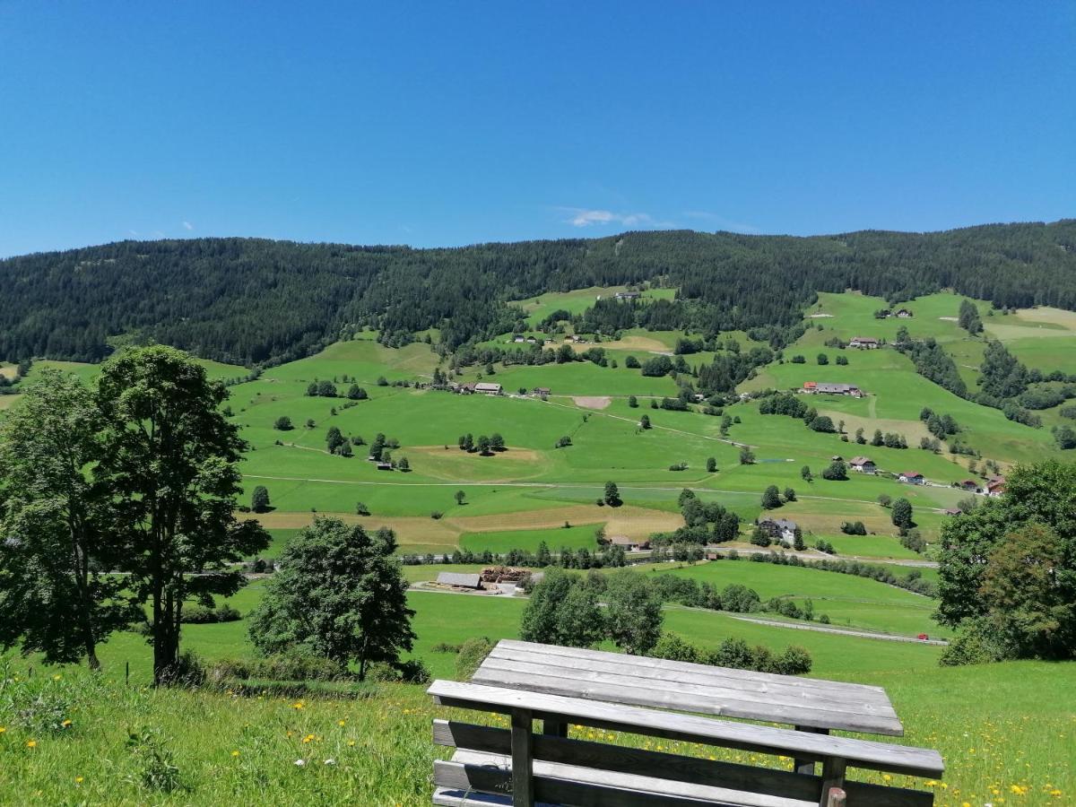 Apartamento Fanningerwirt Holzer Mariapfarr Exterior foto